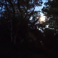 Théophile-Émile Guyot