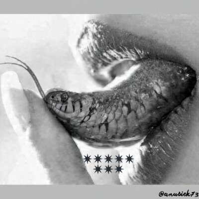 A̷ń̷ć̷k̷a̷ ® 🌹🖤