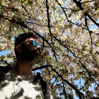 SwedishSalsa🍏🕺🏽