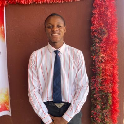 Emmanuel pelumi Ajao