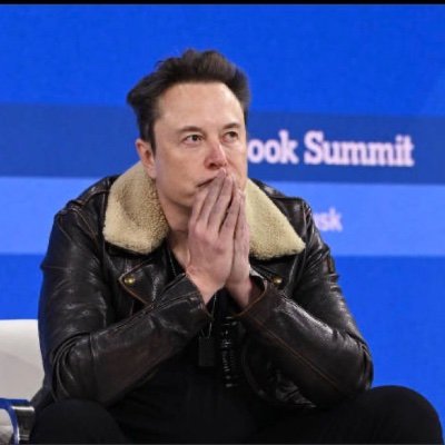 (FAN) Elon musk fanatic