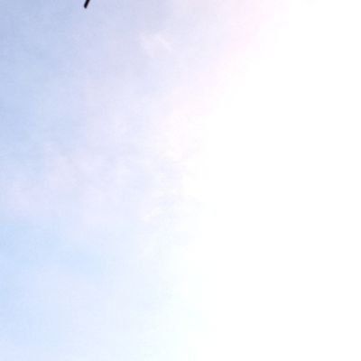 DHT Textile engineer