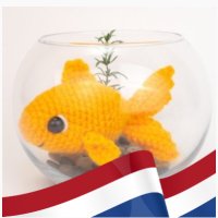 Bladgoudvis 🇳🇱