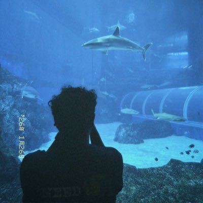 Adam | 🇮🇩in 🇸🇬