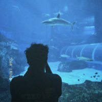 Adam | 🇮🇩in 🇸🇬