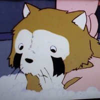 ラﾌ、力ﾉﾚ（初老）