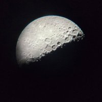 Michał M. Witkowski