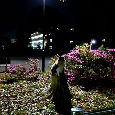 ビアリ推し🧅💘🎤