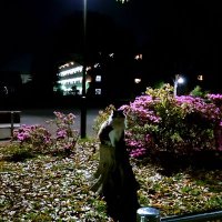 ビアリ推し🧅💘🎤