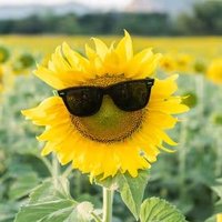 フィボナッチ数列