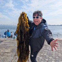 カメさん Hiroyoshi Kamegaki