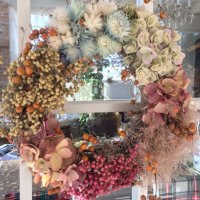 じょ➰ちゃん❣️