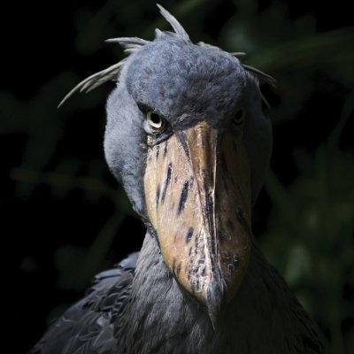 Nothing matters, It's all fake.