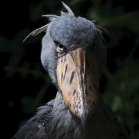 Nothing matters, It's all fake.