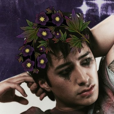 +˚✩hellebaure✩˚+ 🇵🇸 🏳️‍🌈