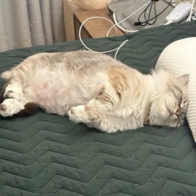 Sze Zee 🐳💙🦋