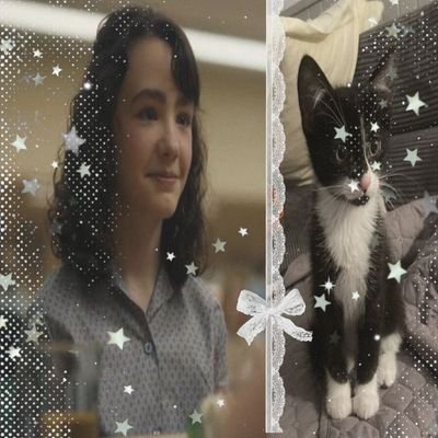 ⋆.˚ʟɪʟʟʏ ʙᴀɪɴʙʀɪᴅɢᴇᯓ★(𝚆𝚝𝚍)⋆.˚ of shtwt