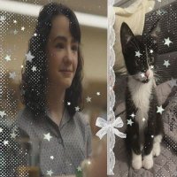 ⋆.˚ʟɪʟʟʏ ʙᴀɪɴʙʀɪᴅɢᴇᯓ★(𝚆𝚝𝚍)⋆.˚ of shtwt