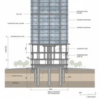 The brain (7 days a week smartness)
