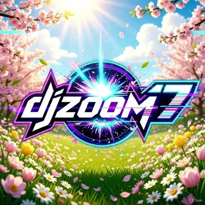 dj zoom17
