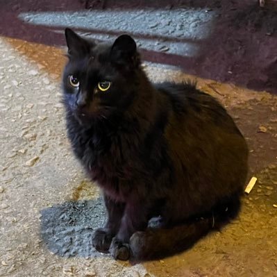 OSsama حassabالله