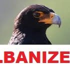 ALBANIZEM IS THE RELIGION OF THE ALBANIANS!