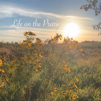 Life on the Prairie🌾