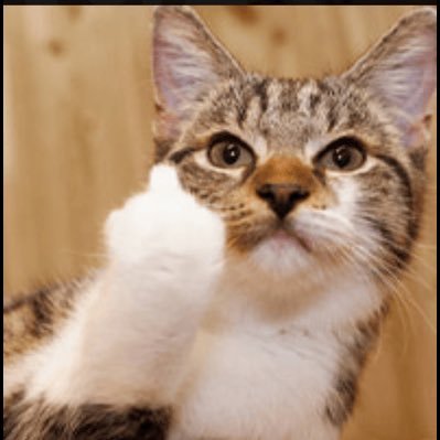 Middlefingeredcat