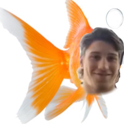 rocky is mourning :(