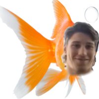 rocky is mourning :(