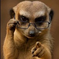 LucciGucci18 👁☠️🐐