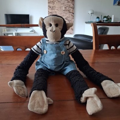 Sjako den Aap 🐵 Mischa 🌈 Toulouse🌈 T. Beer🌈