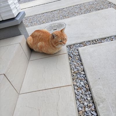 hiroaki2522（まっきー）