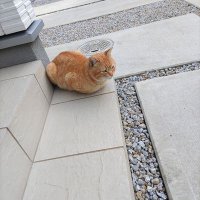 hiroaki2522（まっきー）