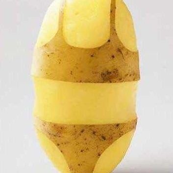 batata sem carinha