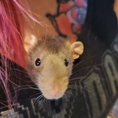 Zoe Fox ♄⛧✡️