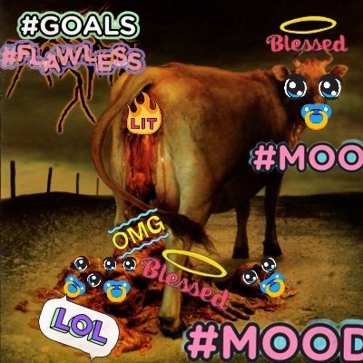 beefbjorky and 99 others