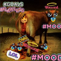 beefbjorky and 99 others