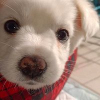 Kaito／取引垢⭐安心取引