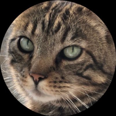 🇬🇧 Natalie 🏴󠁧󠁢󠁥󠁮󠁧󠁿🇮🇷