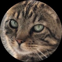 🇬🇧 Natalie 🏴󠁧󠁢󠁥󠁮󠁧󠁿🇮🇷