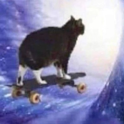SkateboardSpaceCat🚩🏴🏳️‍🌈