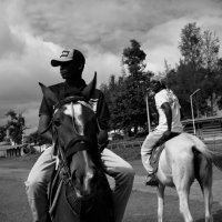 Thee Alpha⚽️🐺🧩🧬