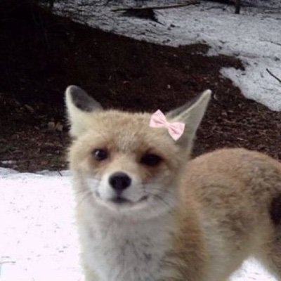 .ᐟAngel ˘͈ᵕ˘͈