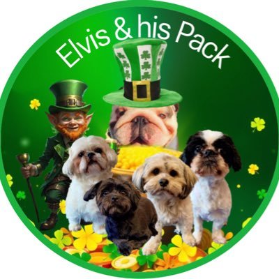 The Adventures of Elvis,Teddy,Bear,Cookie and Coco