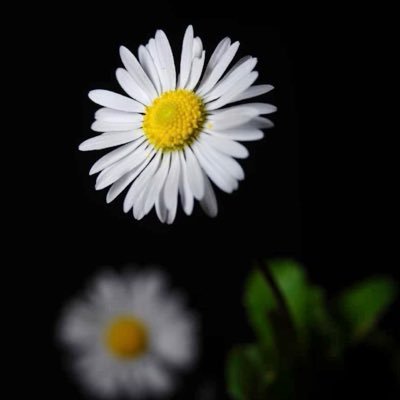 🙏🏼Gods Beautiful 🌎