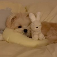 보조개•◡̎•