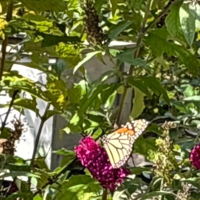 be the change u want to see in the world