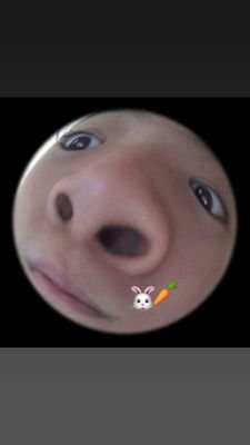 juju's nose lip eyes🐰🥕(NETJJ ERA🖤🥕)