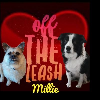 Millie🐾🌈#oneforallandallformillie 🐾🌈